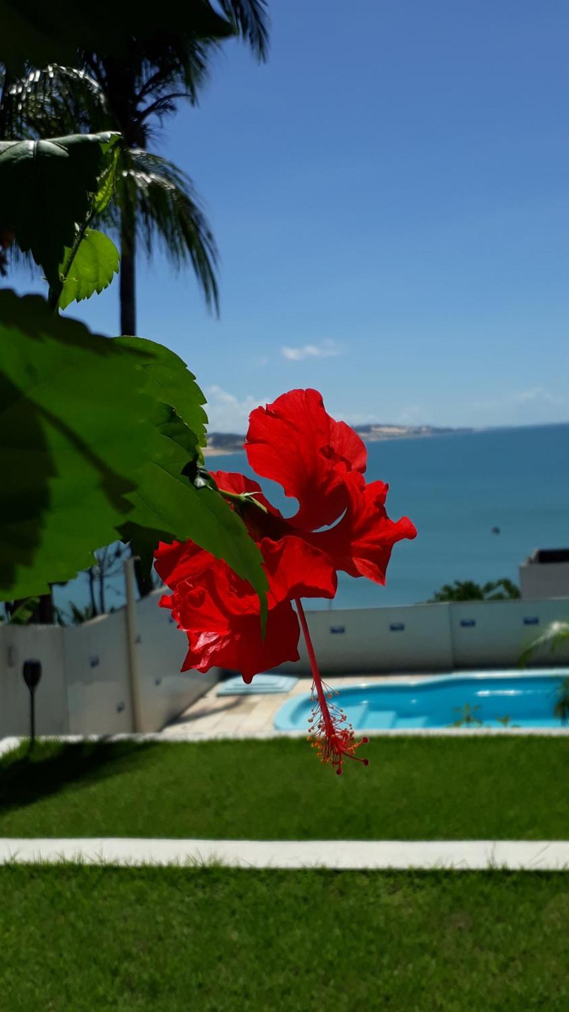 Hotel Pousada Estacao Do Sol Νατάλ Εξωτερικό φωτογραφία